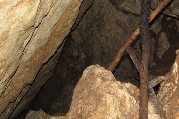 Pare de Gastar Horas Estudando: A IA Mudou o Jeito de Aprender Qualquer Coisa | NotebookLM