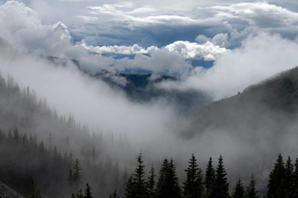 IA para Criar Logo Grátis: Identidade Visual Sem Designer