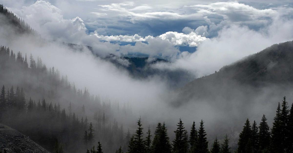 IA para Criar Logo Grátis: Identidade Visual Sem Designer