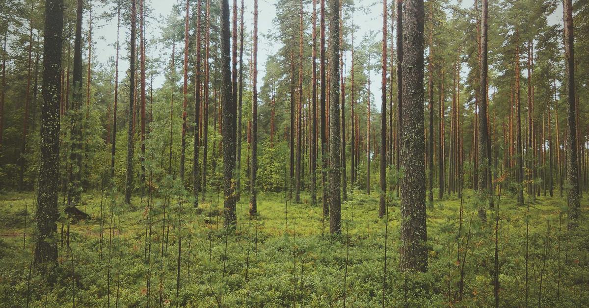 IA para Criar Música: as Melhores Ferramentas Gratuitas em 2026