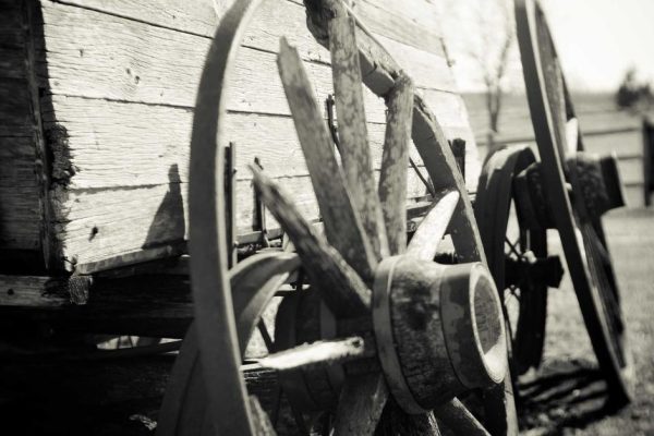 IA para Criar Receitas: Culinária Personalizada com o que Você Tem em Casa