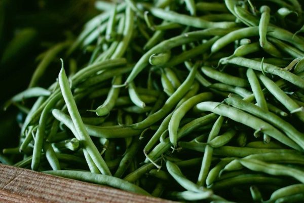 IA para Criar Sites: Tenha seu Site Pronto Hoje Mesmo