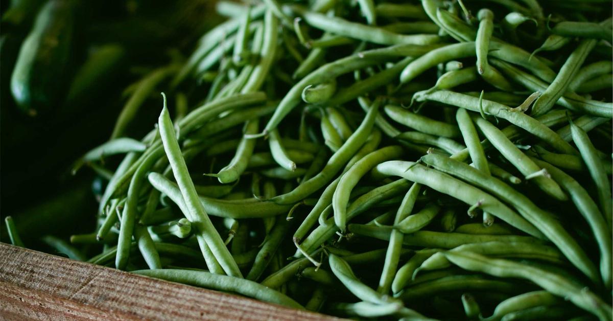 IA para Criar Sites: Tenha seu Site Pronto Hoje Mesmo