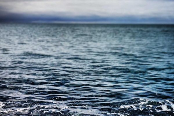 IA para Editar Fotos: Ferramentas que Qualquer Um Consegue Usar em 2026