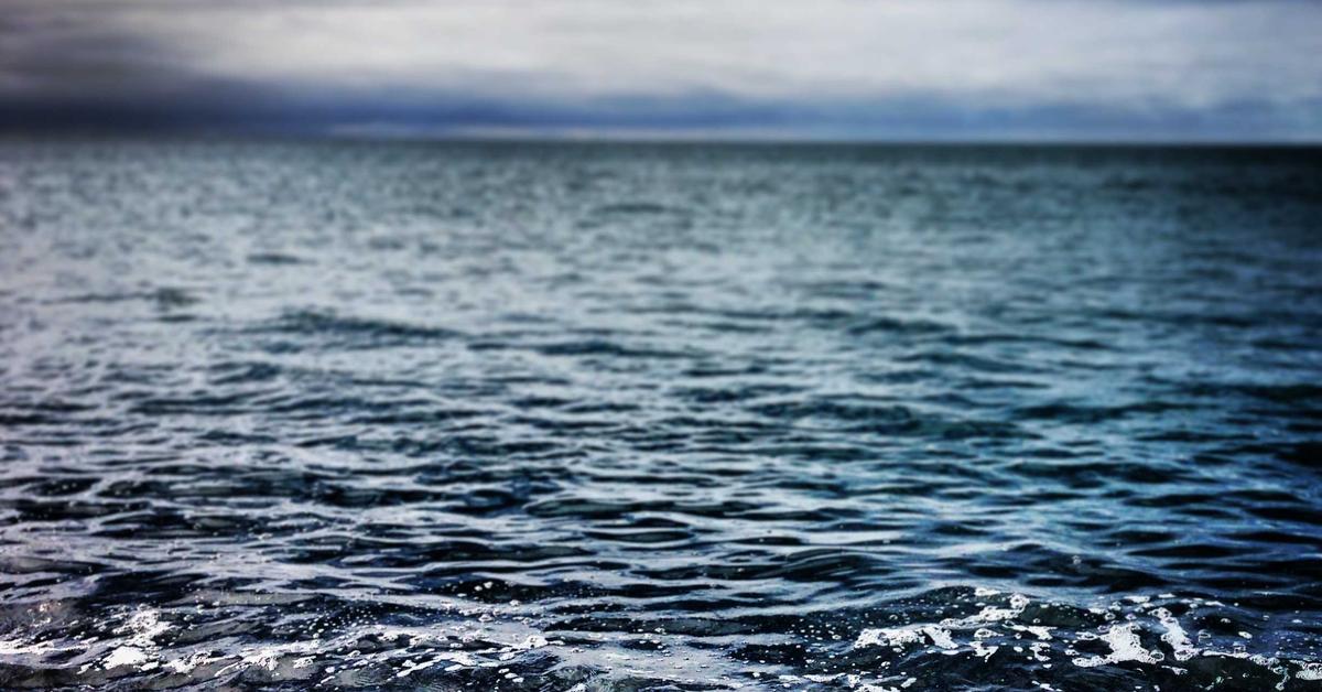 IA para Editar Fotos: Ferramentas que Qualquer Um Consegue Usar em 2026