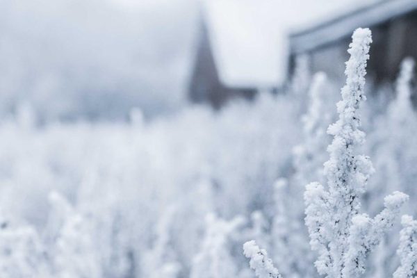 IA para Escrever Textos: Como Criar Conteúdo de Qualidade Mais Rápido em 2026