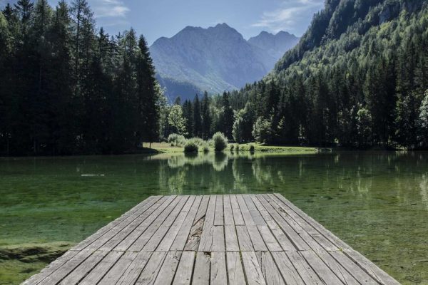 IA para Gestão de Redes Sociais: Automatize sua Presença Digital em 2026