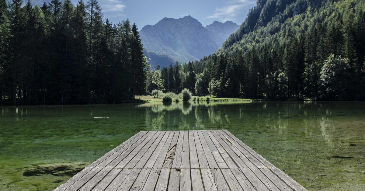 IA para Gestão de Redes Sociais: Automatize sua Presença Digital em 2026