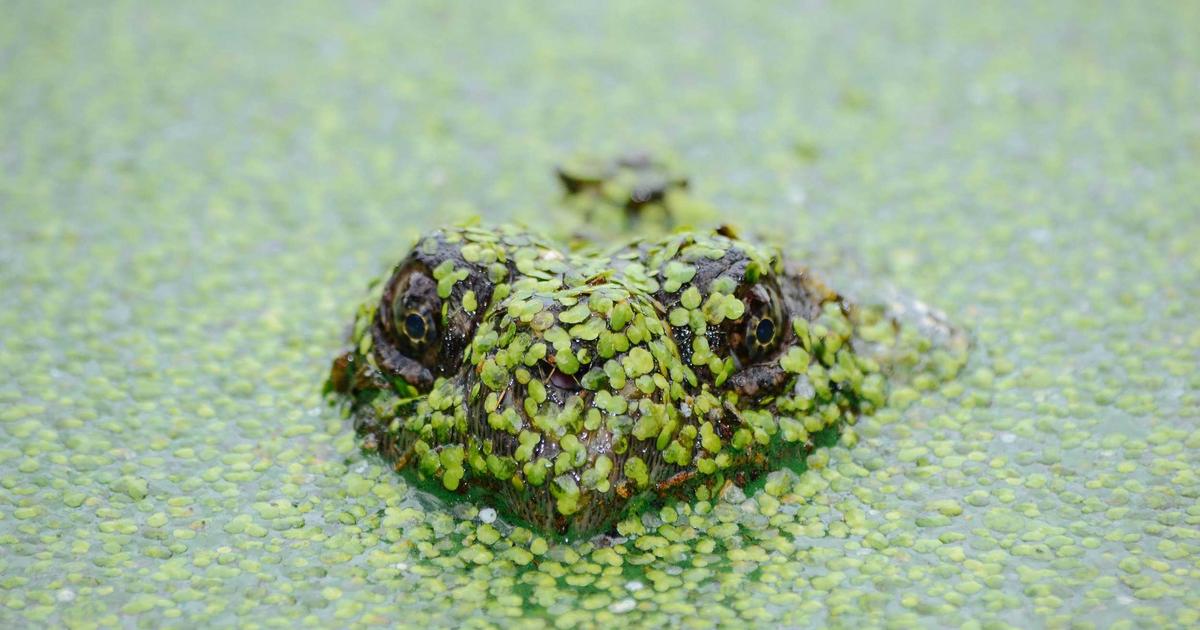 IA para Criar Bio no Instagram: Apresente-se em 150 Caracteres