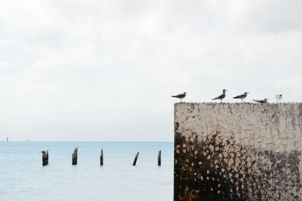 IA para Programar: Como Usar IA para Escrever Código Mais Rápido