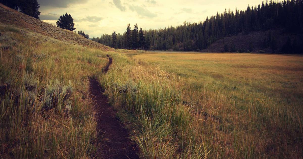 IA para Criar Posts de Blog Otimizados: Escreva e Ilustre em Minutos
