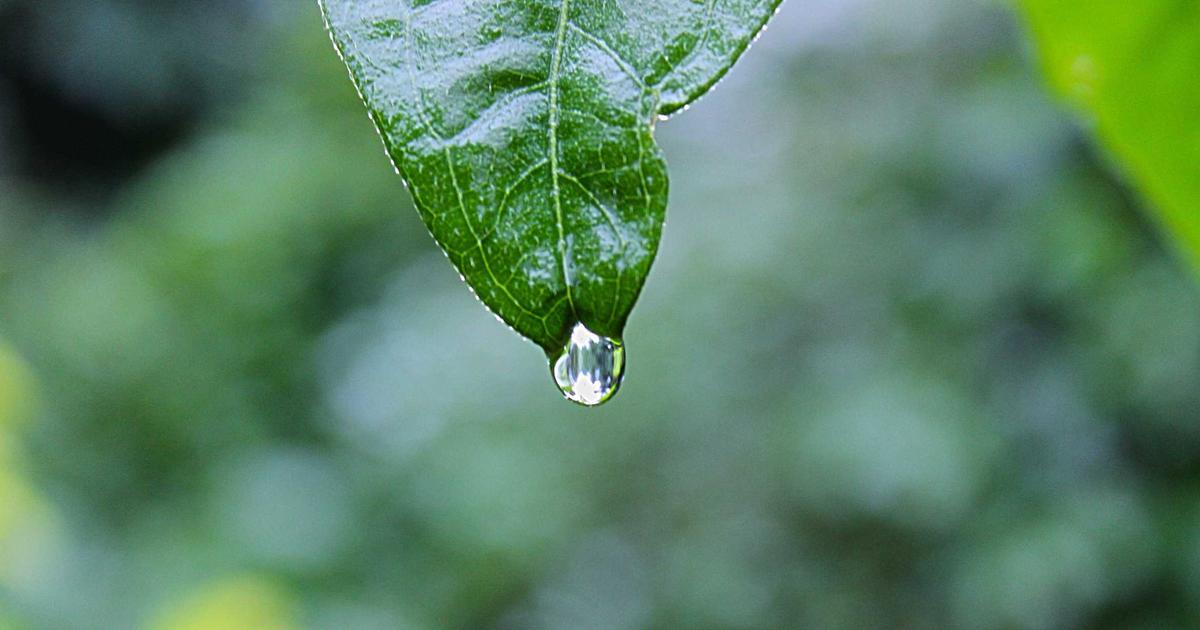 IA para Desenvolver Apresentações Impactantes: Deixe Seu Público de Queixo Caído