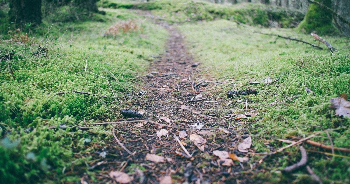 IA para Criar Sequências de E-mail Marketing que Vendem em Minutos